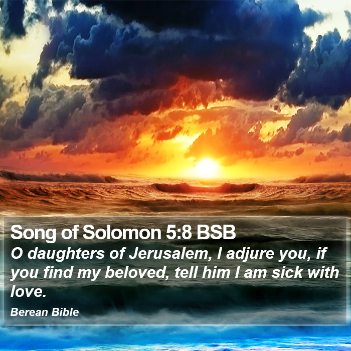 Song of Solomon 5:8 BSB Bible Study