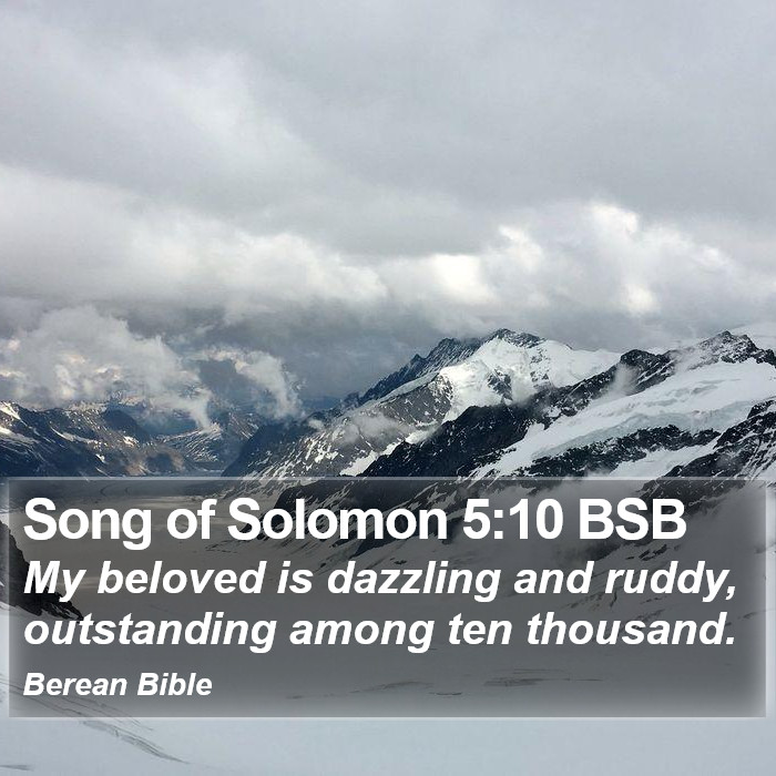 Song of Solomon 5:10 BSB Bible Study