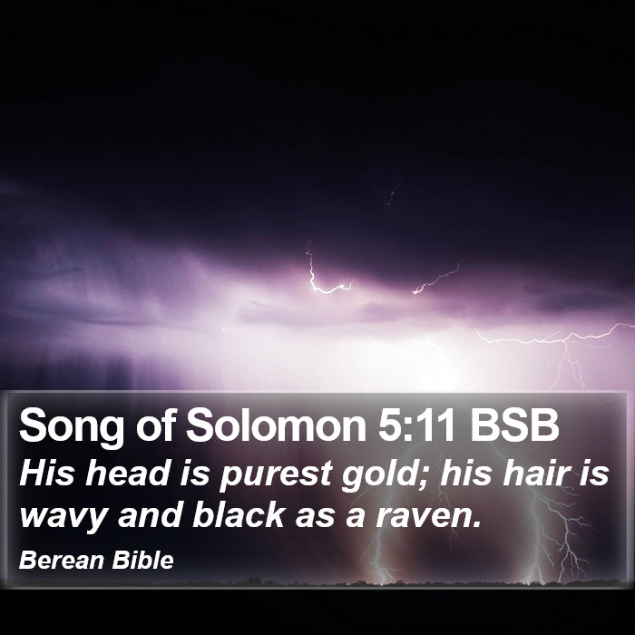 Song of Solomon 5:11 BSB Bible Study