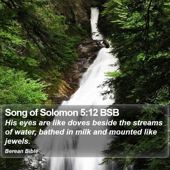 Song of Solomon 5:12 BSB Bible Study