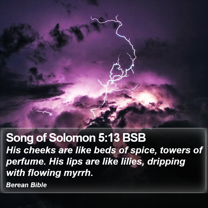 Song of Solomon 5:13 BSB Bible Study