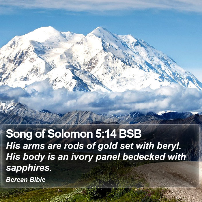 Song of Solomon 5:14 BSB Bible Study