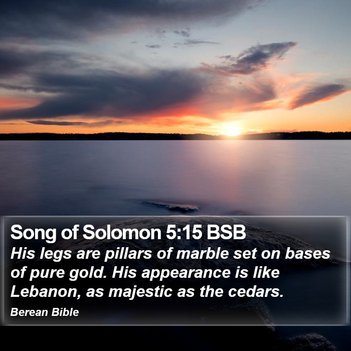 Song of Solomon 5:15 BSB Bible Study