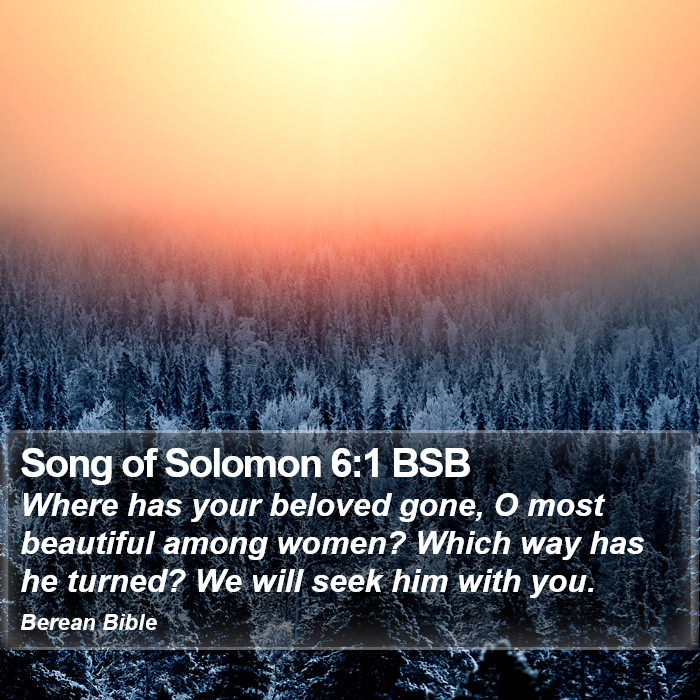 Song of Solomon 6:1 BSB Bible Study