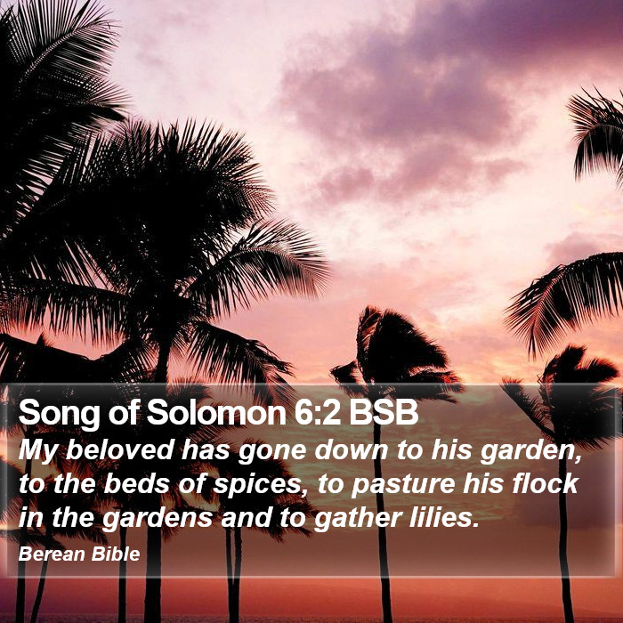 Song of Solomon 6:2 BSB Bible Study