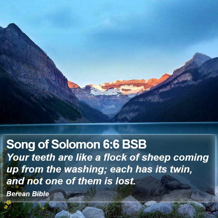 Song of Solomon 6:6 BSB Bible Study