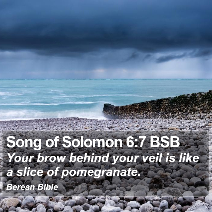 Song of Solomon 6:7 BSB Bible Study