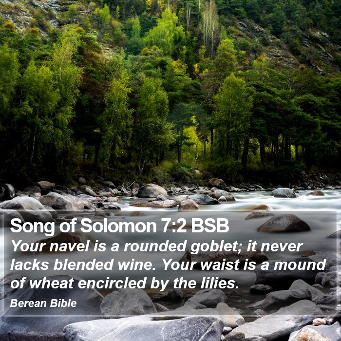 Song of Solomon 7:2 BSB Bible Study