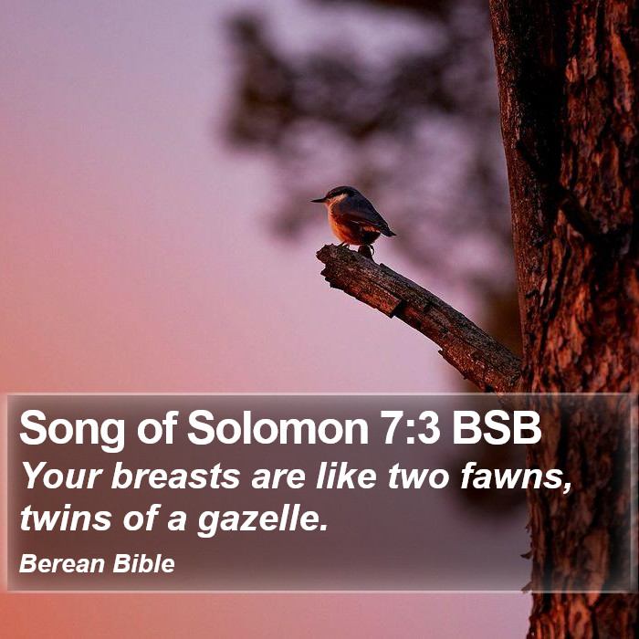 Song of Solomon 7:3 BSB Bible Study