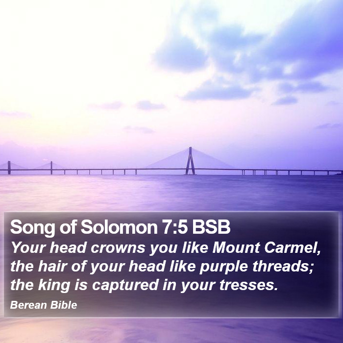 Song of Solomon 7:5 BSB Bible Study