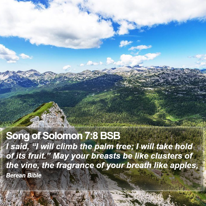 Song of Solomon 7:8 BSB Bible Study