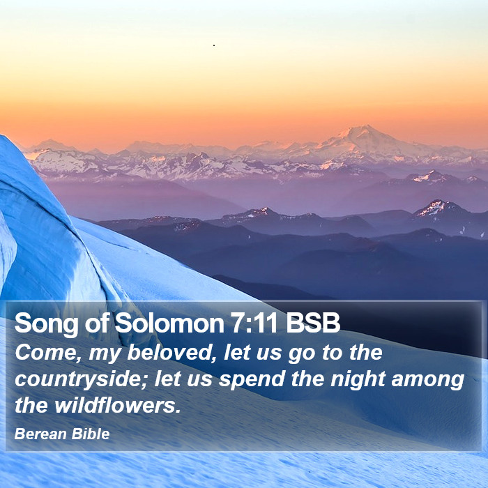 Song of Solomon 7:11 BSB Bible Study