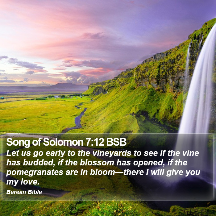 Song of Solomon 7:12 BSB Bible Study