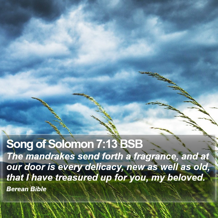 Song of Solomon 7:13 BSB Bible Study