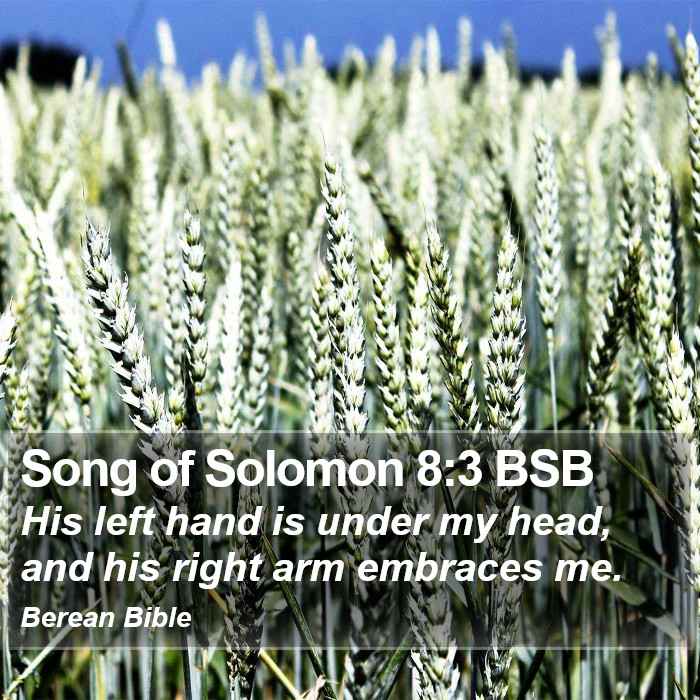 Song of Solomon 8:3 BSB Bible Study