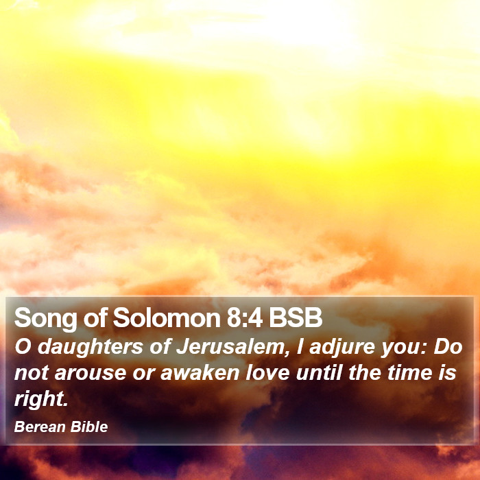 Song of Solomon 8:4 BSB Bible Study