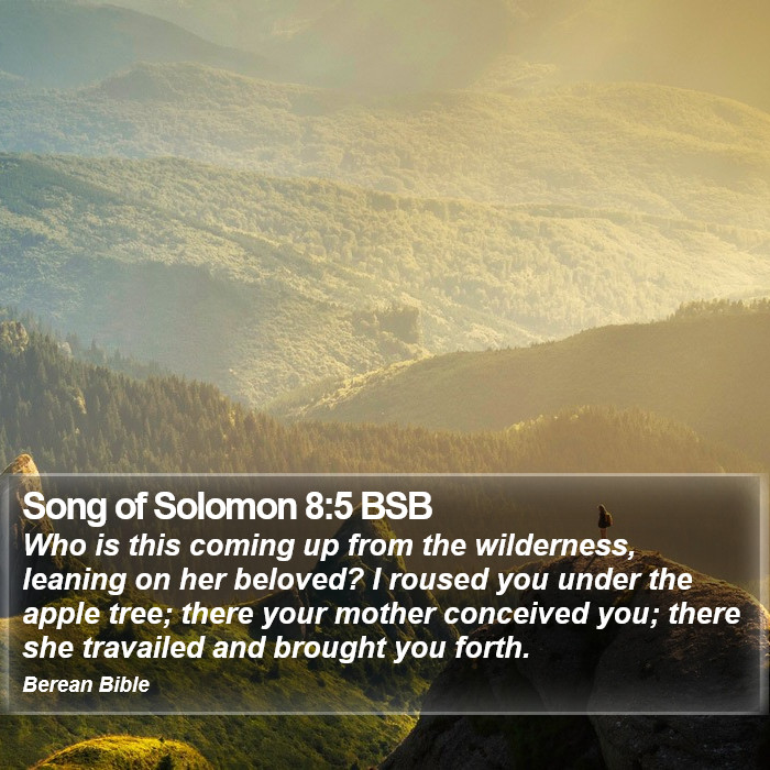 Song of Solomon 8:5 BSB Bible Study