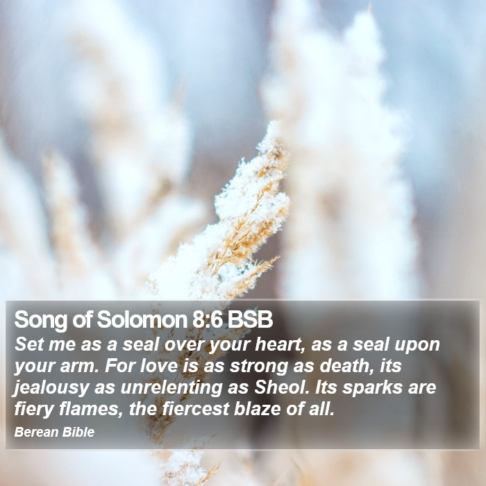 Song of Solomon 8:6 BSB Bible Study