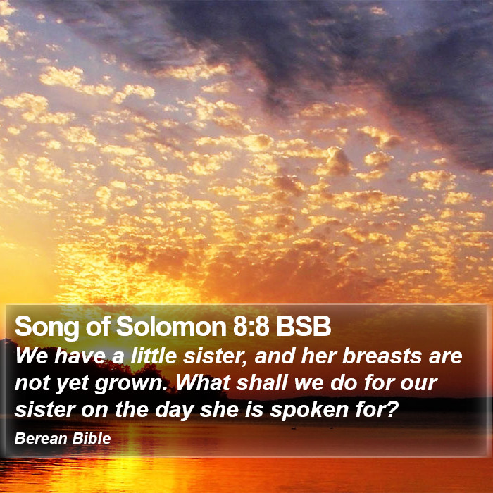 Song of Solomon 8:8 BSB Bible Study