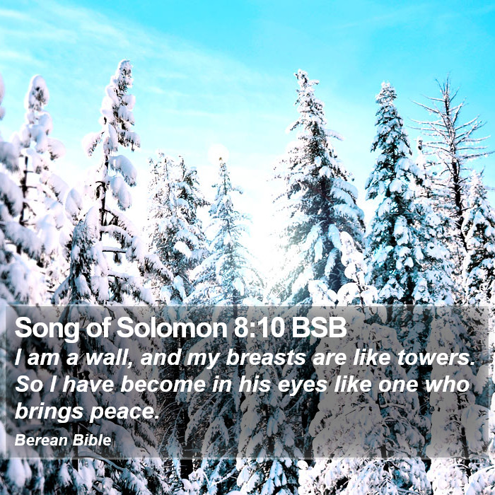 Song of Solomon 8:10 BSB Bible Study