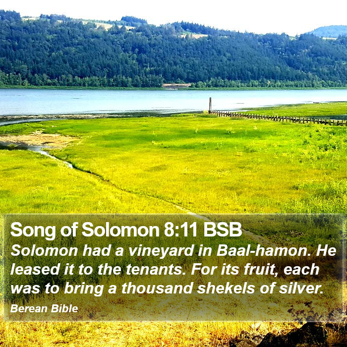 Song of Solomon 8:11 BSB Bible Study