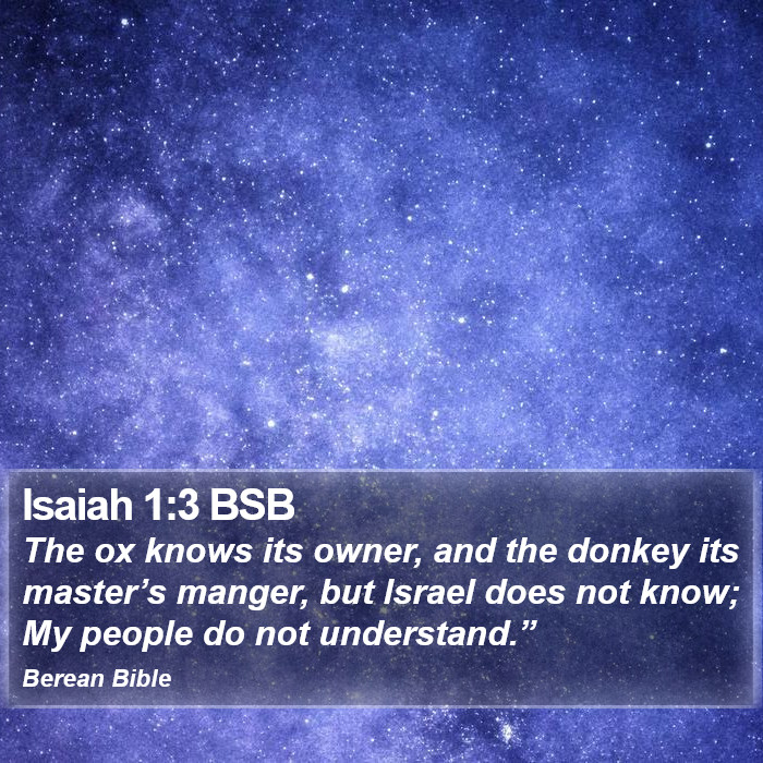 Isaiah 1:3 BSB Bible Study