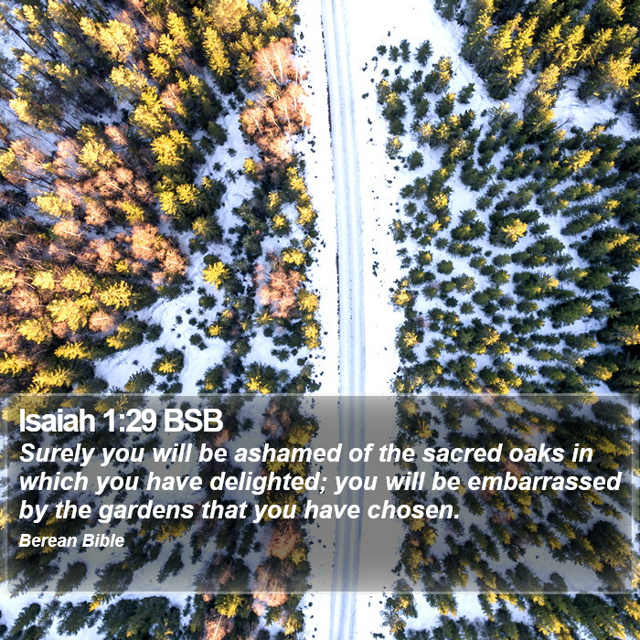 Isaiah 1:29 BSB Bible Study