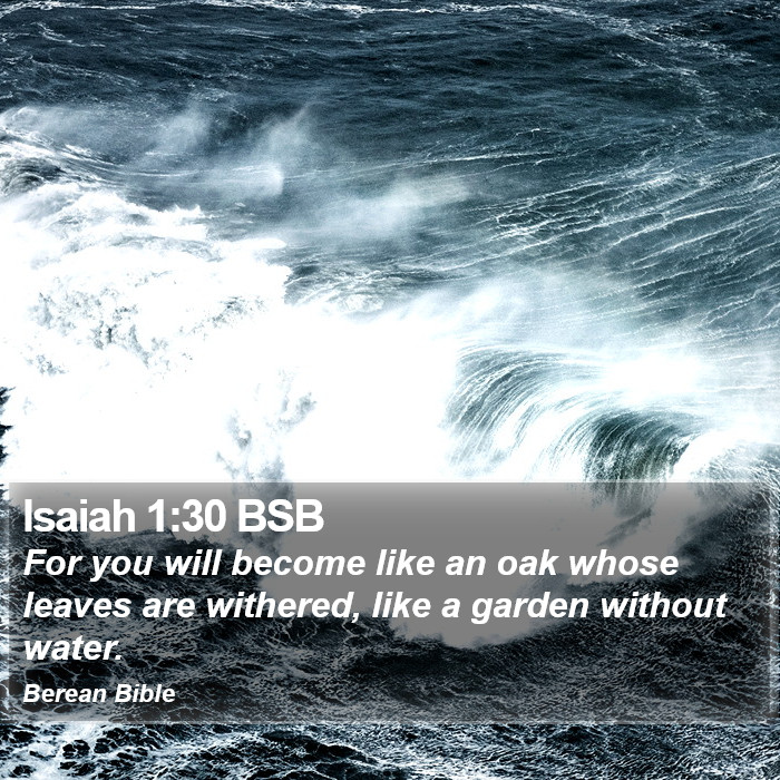 Isaiah 1:30 BSB Bible Study