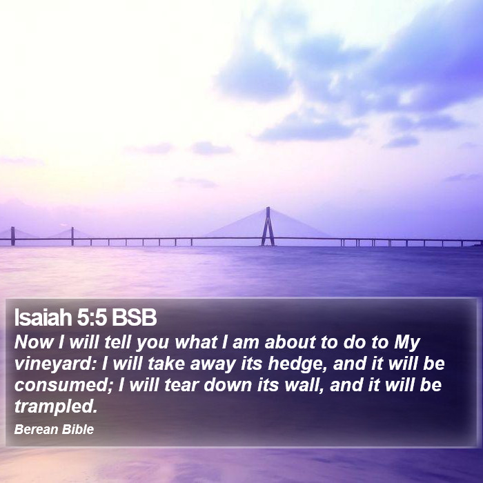 Isaiah 5:5 BSB Bible Study