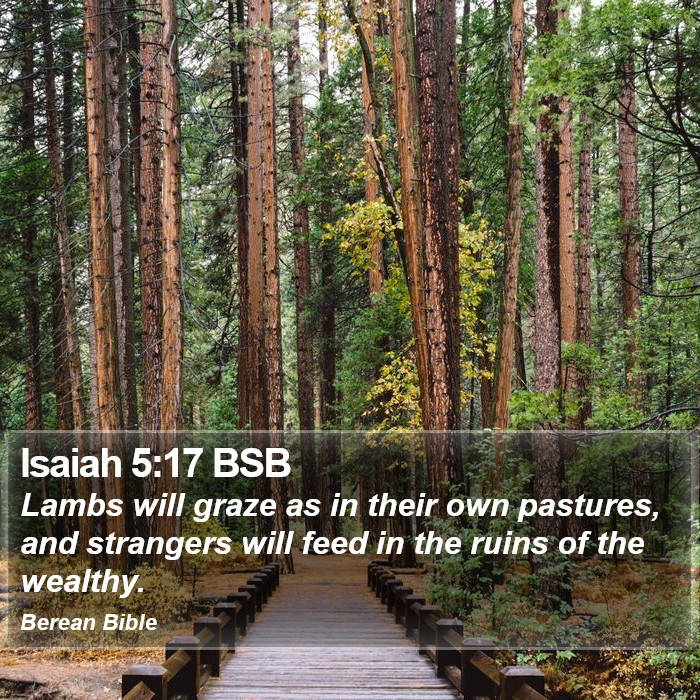 Isaiah 5:17 BSB Bible Study