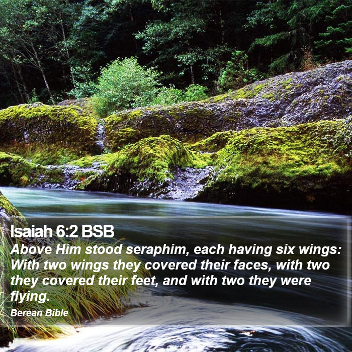 Isaiah 6:2 BSB Bible Study