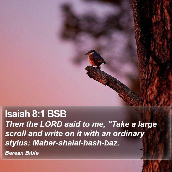 Isaiah 8:1 BSB Bible Study