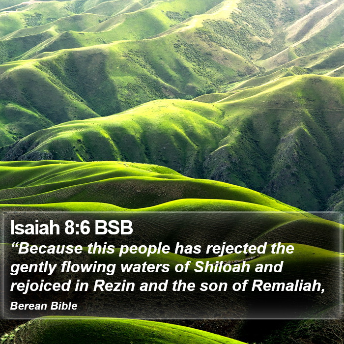 Isaiah 8:6 BSB Bible Study