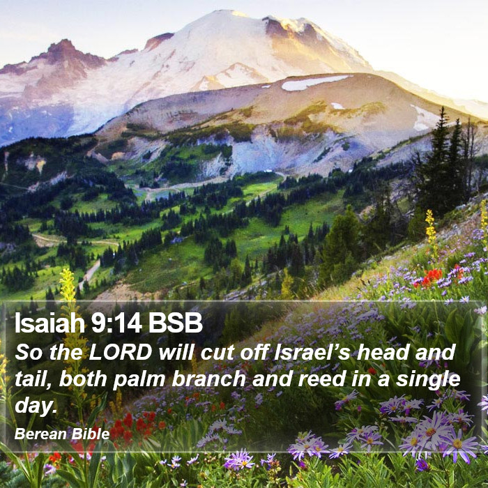 Isaiah 9:14 BSB Bible Study