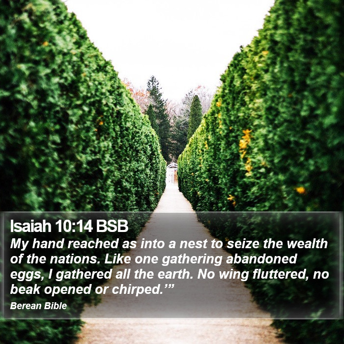 Isaiah 10:14 BSB Bible Study