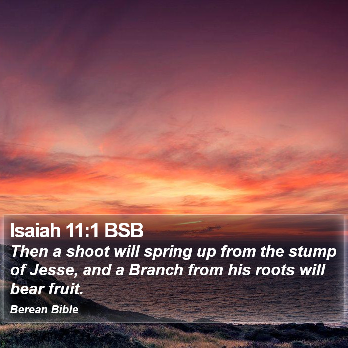 Isaiah 11:1 BSB Bible Study