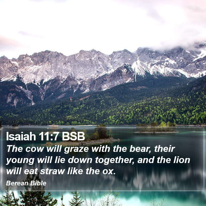 Isaiah 11:7 BSB Bible Study