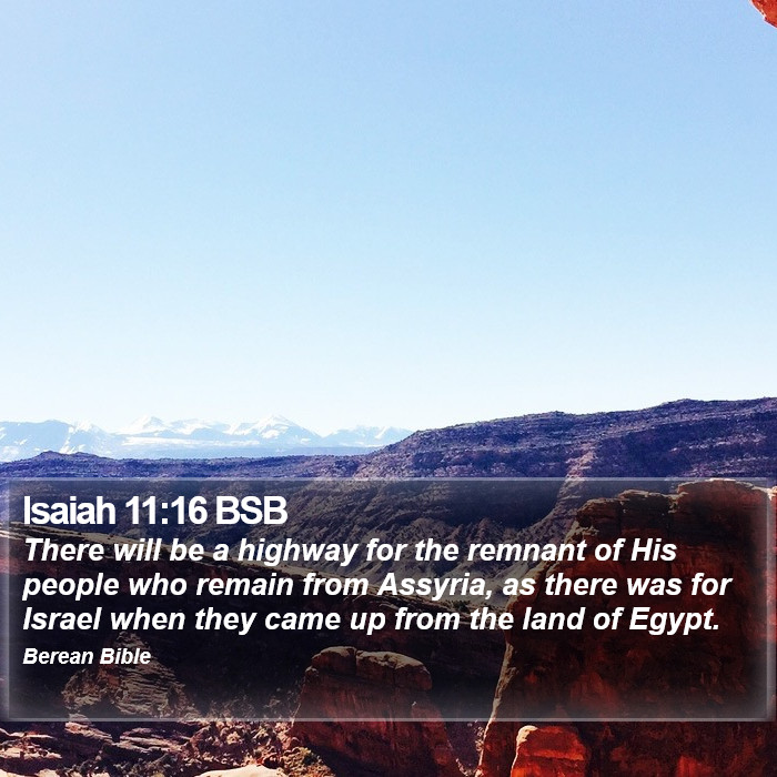 Isaiah 11:16 BSB Bible Study