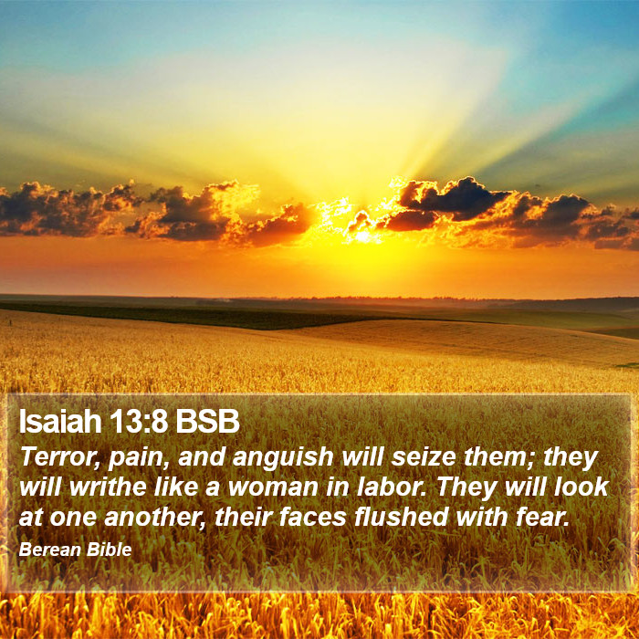 Isaiah 13:8 BSB Bible Study