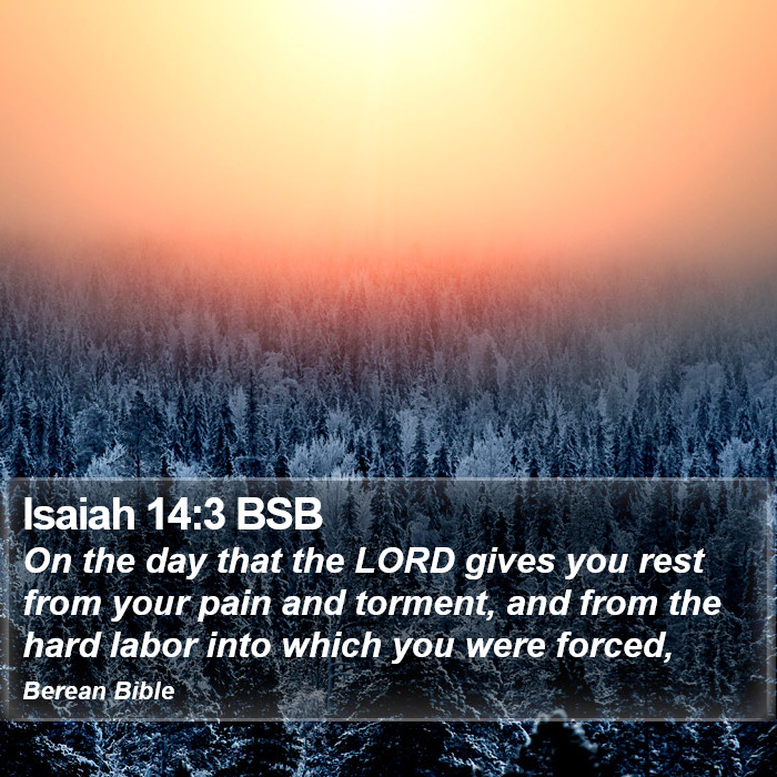 Isaiah 14:3 BSB Bible Study