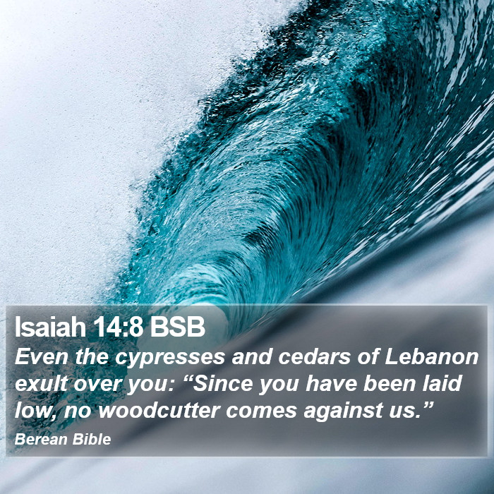 Isaiah 14:8 BSB Bible Study