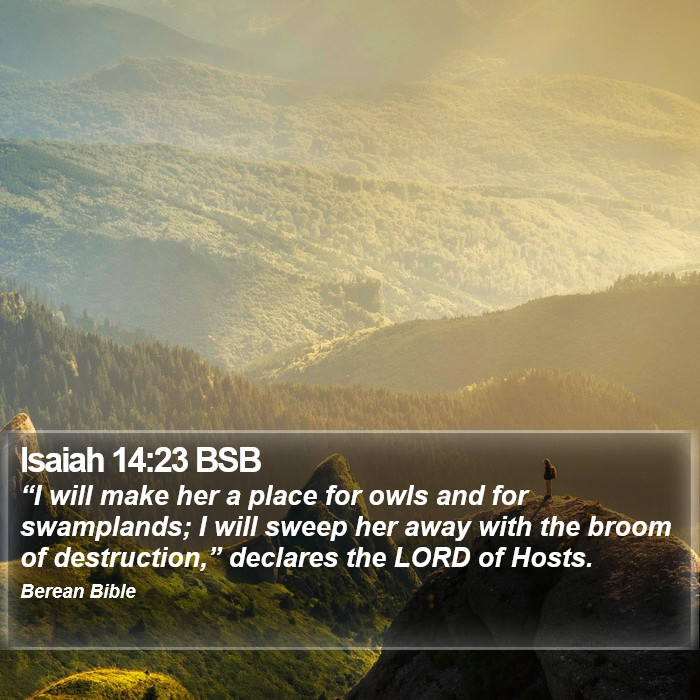 Isaiah 14:23 BSB Bible Study