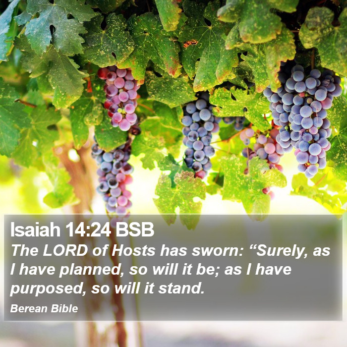 Isaiah 14:24 BSB Bible Study