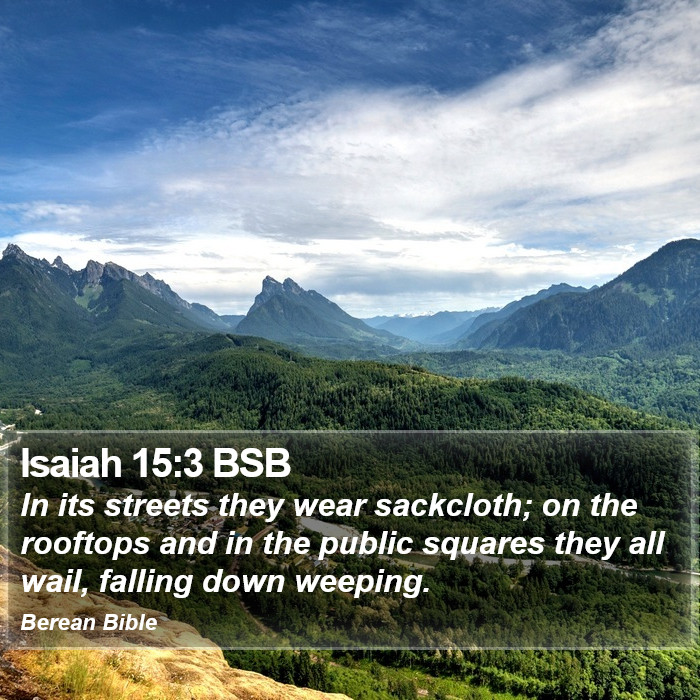 Isaiah 15:3 BSB Bible Study