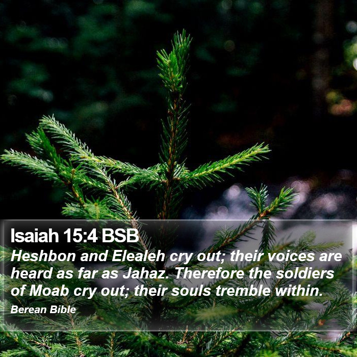 Isaiah 15:4 BSB Bible Study