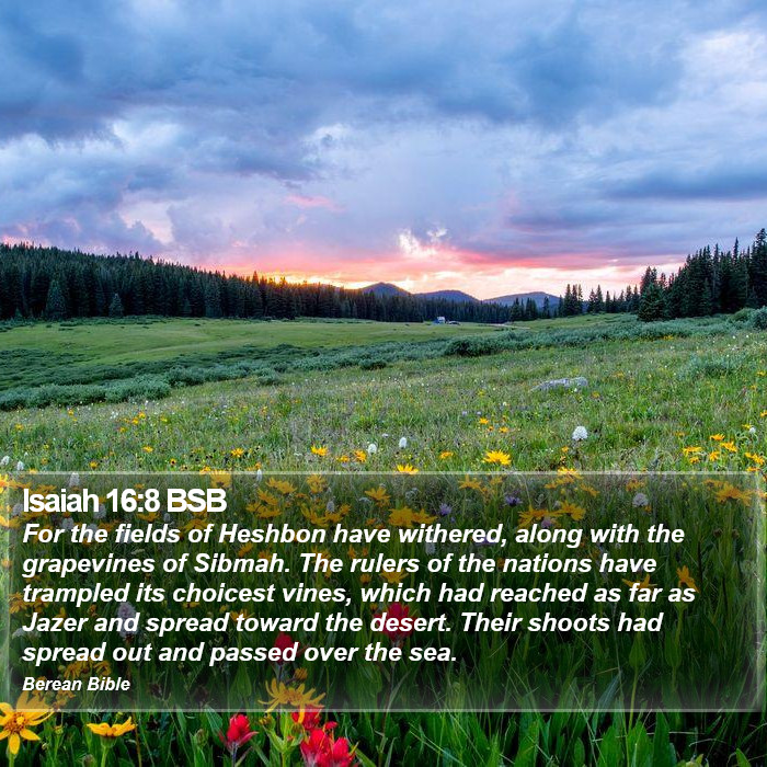 Isaiah 16:8 BSB Bible Study