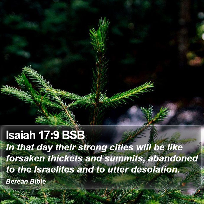 Isaiah 17:9 BSB Bible Study