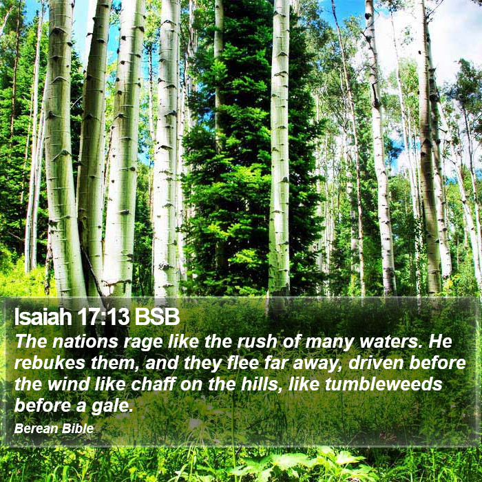 Isaiah 17:13 BSB Bible Study