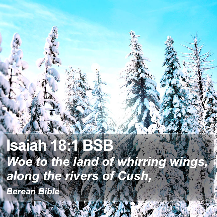 Isaiah 18:1 BSB Bible Study