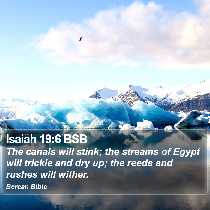 Isaiah 19:6 BSB Bible Study